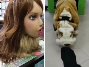 Robôs que sentem cheiro têm forma de mulher, para o hálito, e cão, para o chulé (Foto: Divulgação/via BBC)